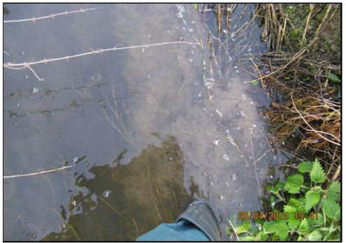 Regeneration der Vorflutgräben2